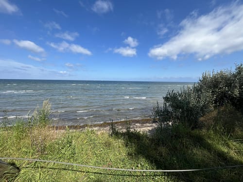 Strandspaziergang Schwarzer Busch