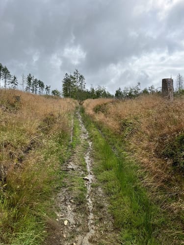Elberndorftal: Naturerlebnisweg nordwestlich von Erndtebrück