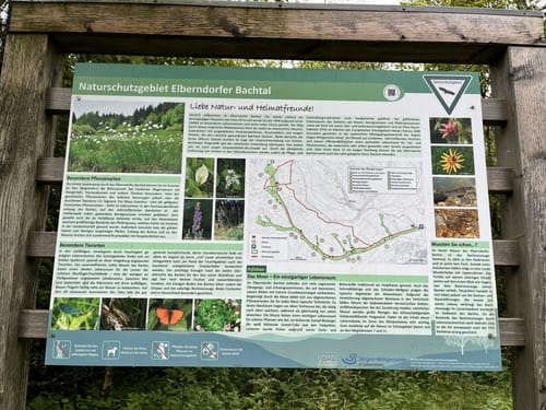 Elberndorftal: Naturerlebnisweg nordwestlich von Erndtebrück