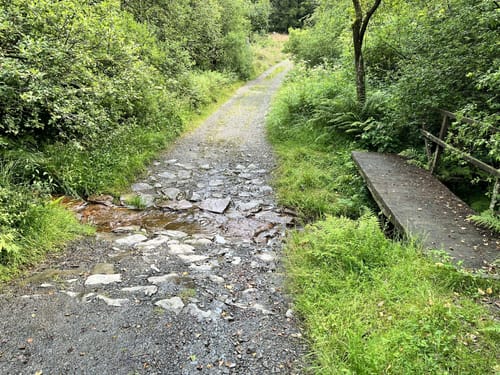 Elberndorftal: Naturerlebnisweg nordwestlich von Erndtebrück