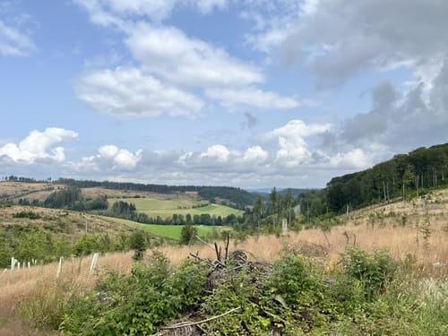 Elberndorftal: Naturerlebnisweg nordwestlich von Erndtebrück
