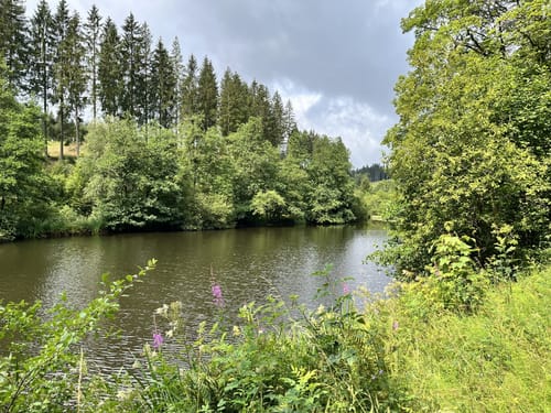 Elberndorftal: Naturerlebnisweg nordwestlich von Erndtebrück