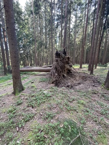 Marterlweg