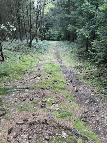 Marterlweg