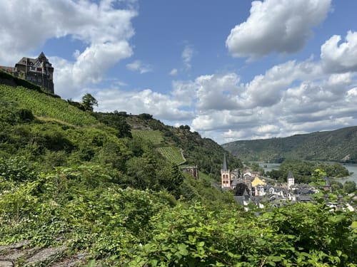 Weinwanderweg Bacharach