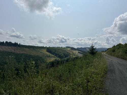 Winterberg - Kahler Asten - Hoher Knochen