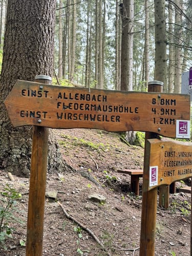 Zwischen den Wäldern (Traumschleife)