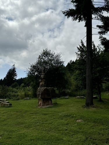 Zwischen den Wäldern (Traumschleife)