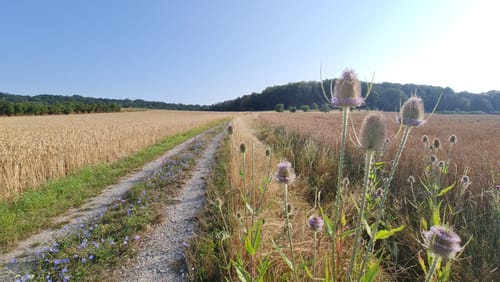 An der Schwedenschanze