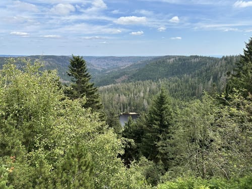 Seebach - Wildsee-Erlebnistour