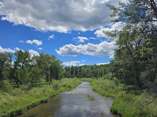 Fish creek bike trails clearance