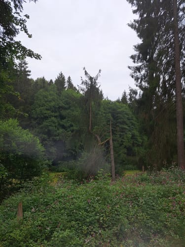 Durchs Rehbachtal