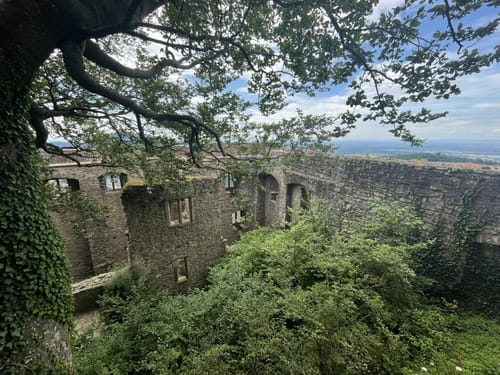 Battertfelsen Rundwanderung