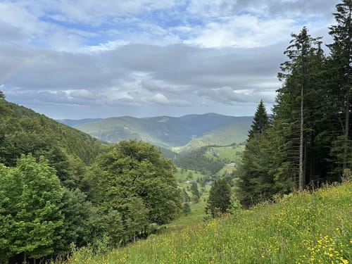 Grenzach-Wyhlen - Kaiseraugst