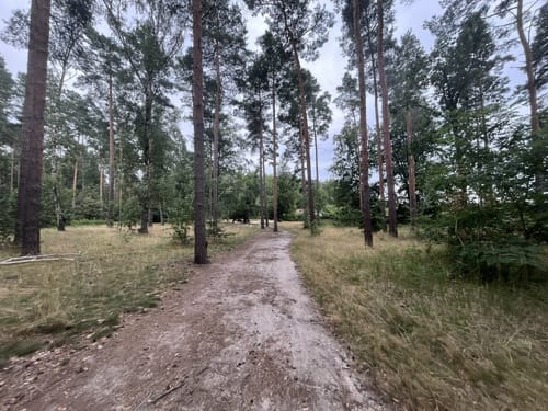 Grunewald: Drachenberg - Teufelsberg