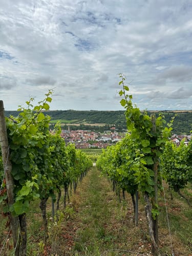 Weinhänge bei Eibelstadt