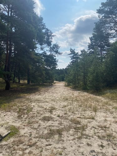 Rund um den Fährhof in Sottrum