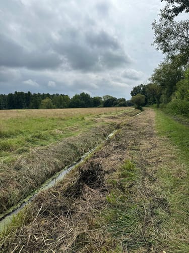 Dummewiesen-Weg