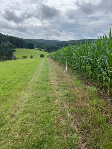 Jossgrund-Runde (Premiumwanderweg)