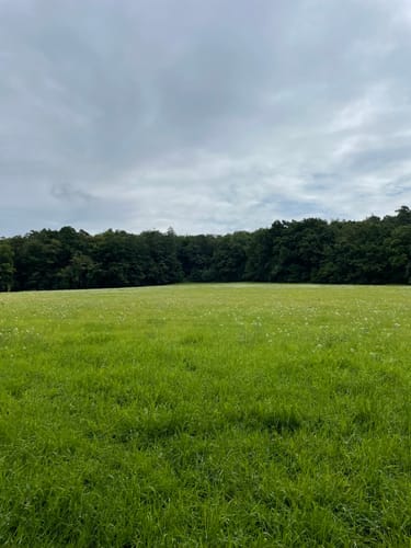 Von Kreuzwertheim zum Himmelreich