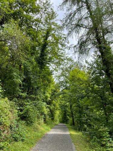 Von Kreuzwertheim zum Himmelreich
