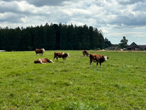 ParadiesTour Unteres Glasbachtal