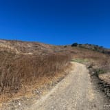 Whiting Ranch Trail, California - 1,841 Reviews, Map | AllTrails