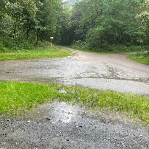 Königsforst Rundweg