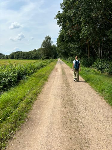 Naturschutzgebiet Melmmoor/Kuhdammoor ab Esterwegen
