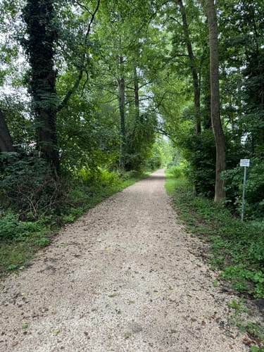 Ab zur Landesgartenschau