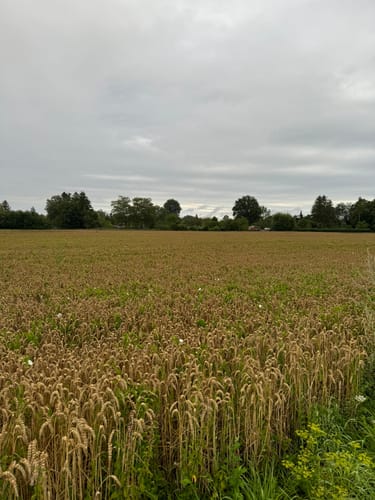 Ab zur Landesgartenschau