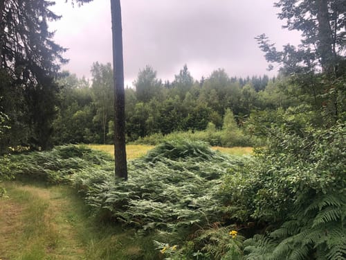 Tännesberg Viertelmarathon