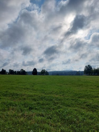 Luchsbrunnen Rundweg