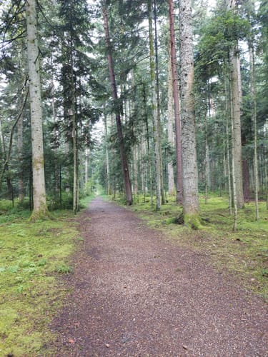 Luchsbrunnen Rundweg