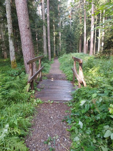 Luchsbrunnen Rundweg