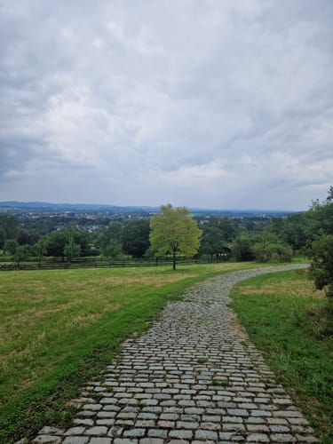 Luherheide: Försterteische - Staffpark