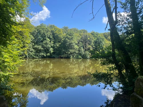 Schlosspark-Rundweg um den Fontänenteich