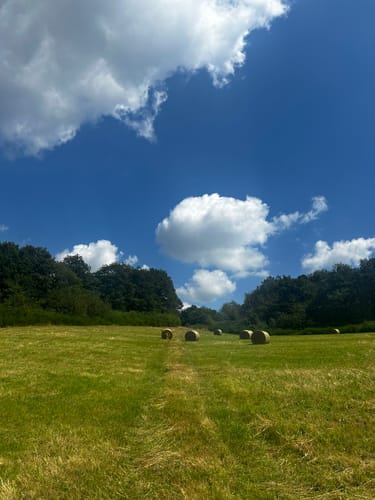 Ulmet Runde
