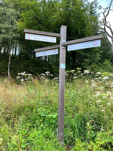 Erndtebrück - Gillerbergturm - Wehbach Rundwanderung
