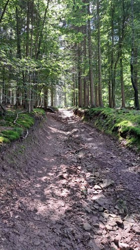 Hüggel Runde zum Silbersee