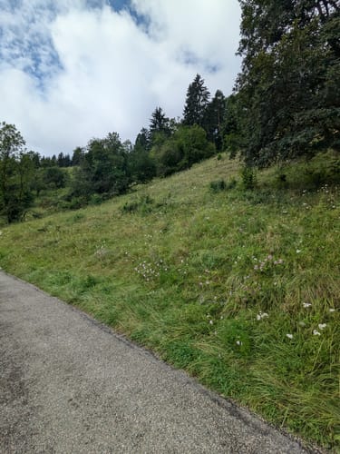RP14 Burgen am oberen Neckar