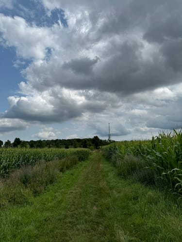 Heidschnuckenweg Etappe 1: Fischbek - Buchholz in der Nordheide