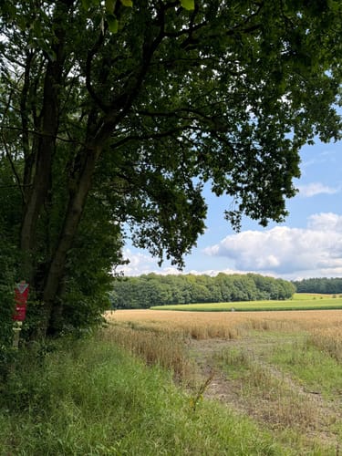 Heidschnuckenweg Etappe 1: Fischbek - Buchholz in der Nordheide