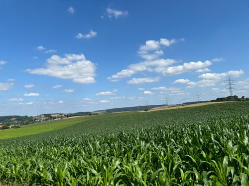 Rund um den Golfplatz Hohenhardter Hof