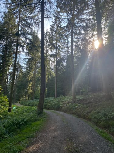 Rundwanderweg Schafpferch 2: Schafpferch Westhang