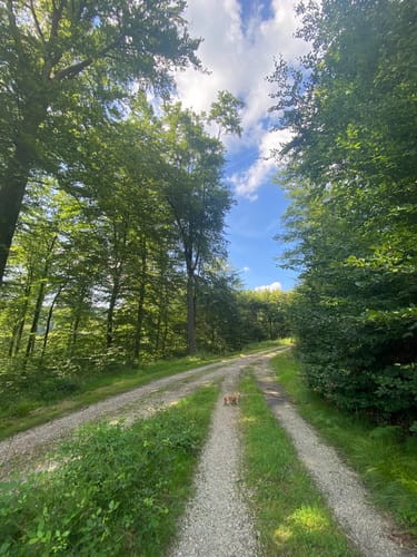 Rundwanderweg Schafpferch 2: Schafpferch Westhang