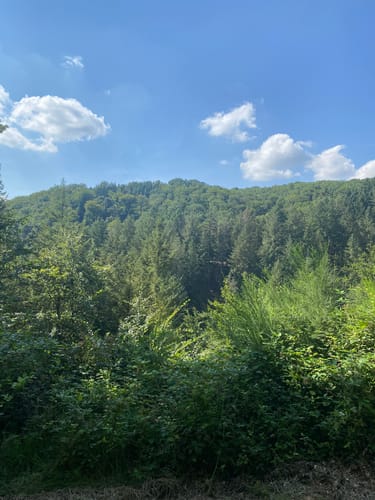Rundwanderweg Schafpferch 2: Schafpferch Westhang