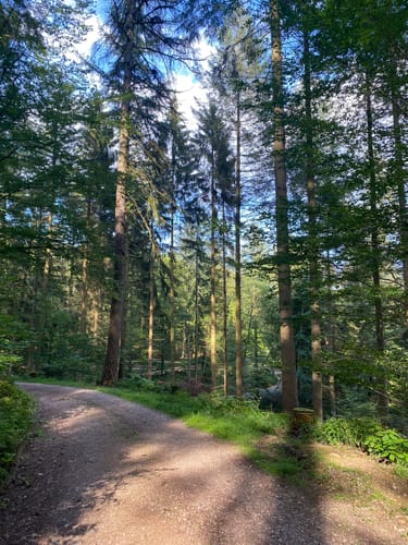 Rundwanderweg Schafpferch 2: Schafpferch Westhang