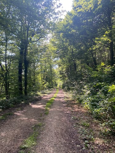 Rundwanderweg Schafpferch 2: Schafpferch Westhang
