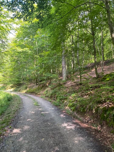 Rundwanderweg Schafpferch 2: Schafpferch Westhang